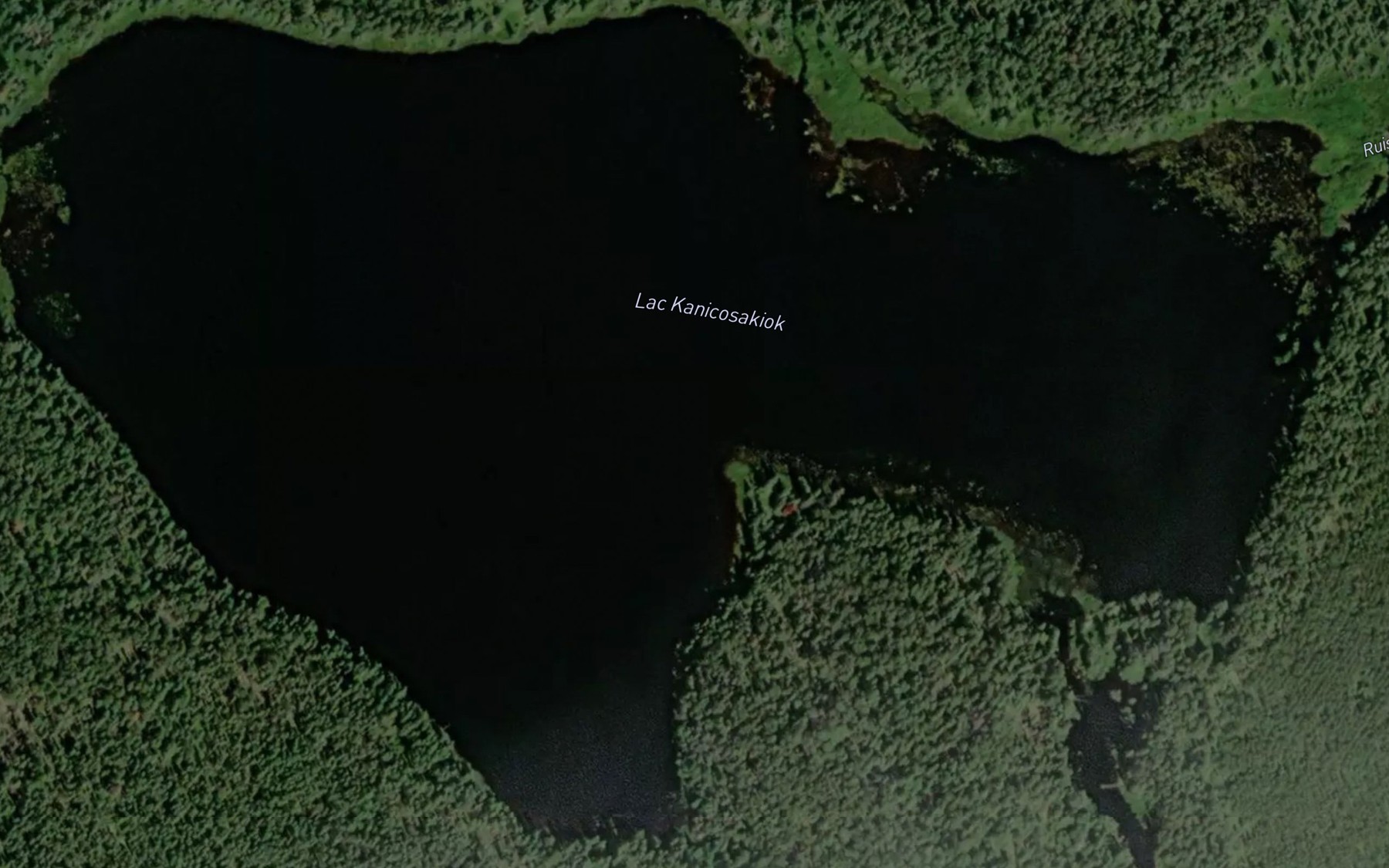 Satellite map of the Lac Kanicosakiok