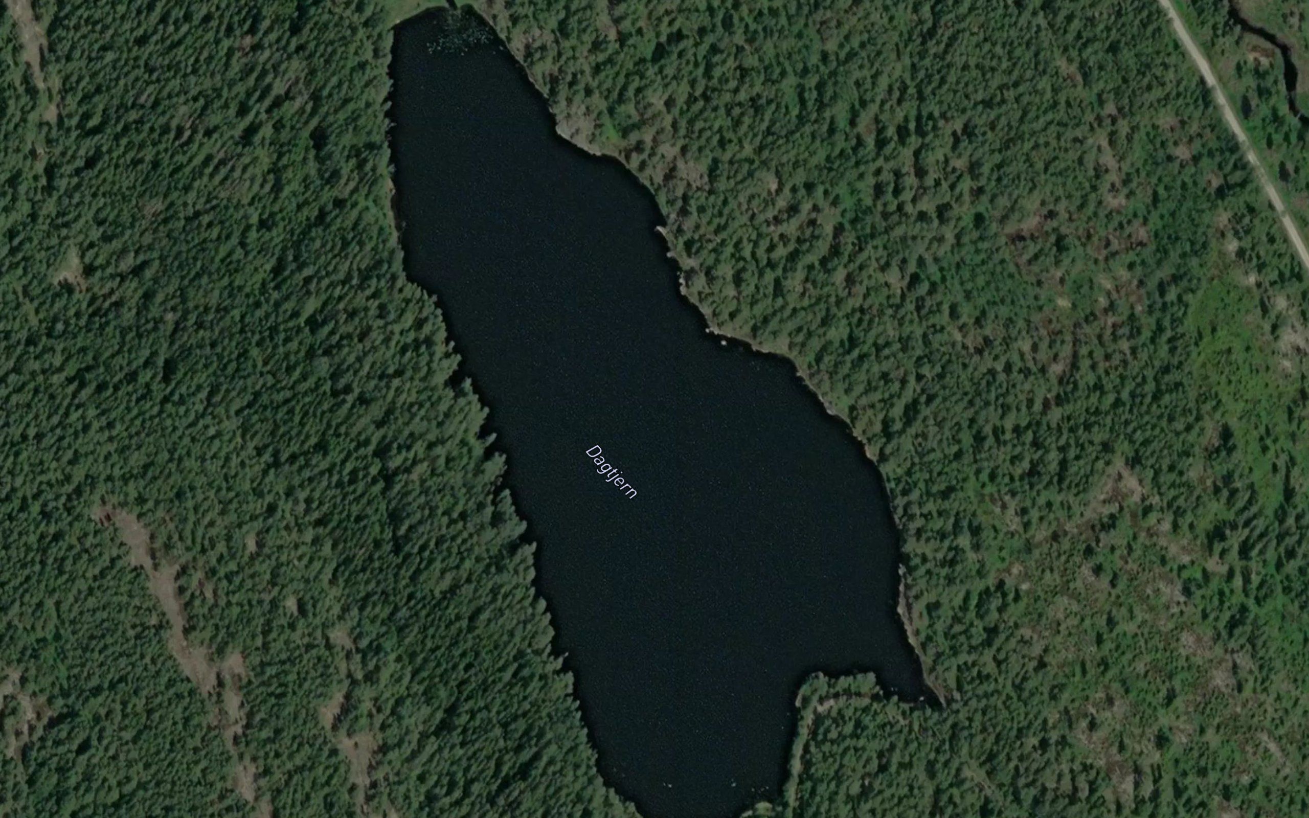 Dagtjern