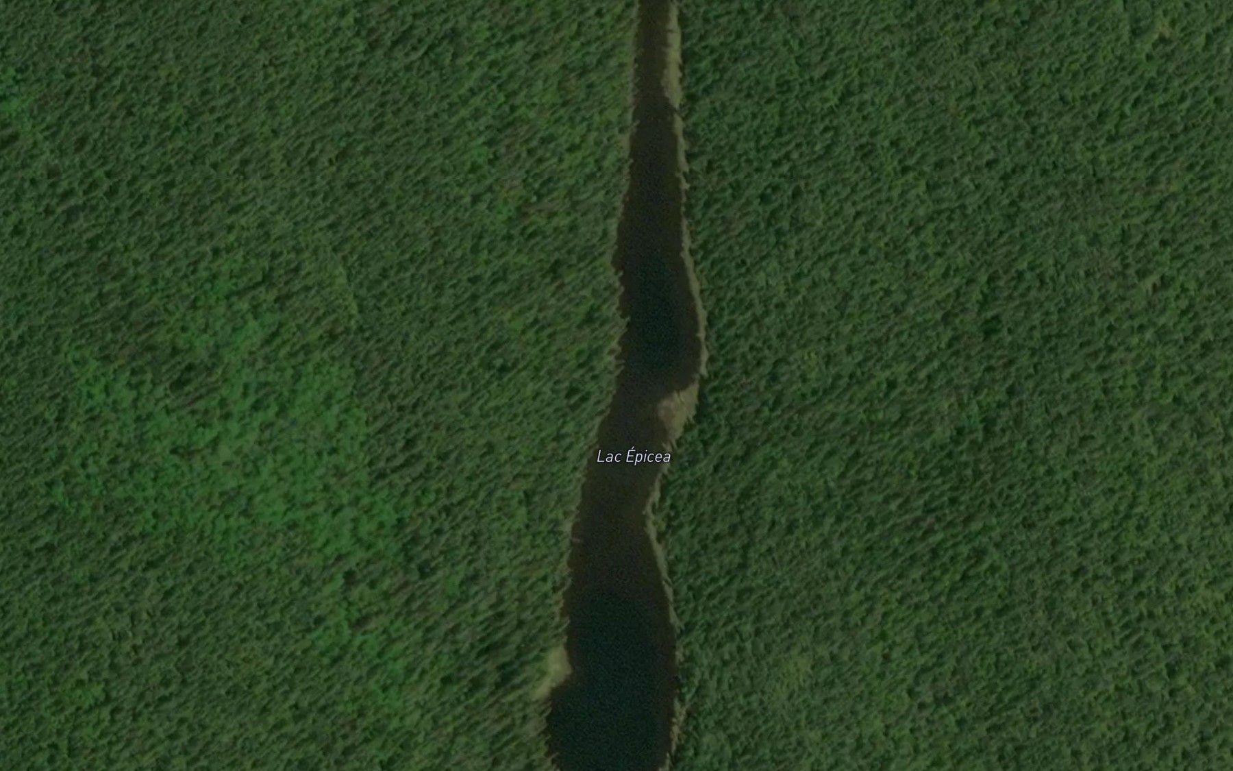 Satellite map of the Lac Epicea