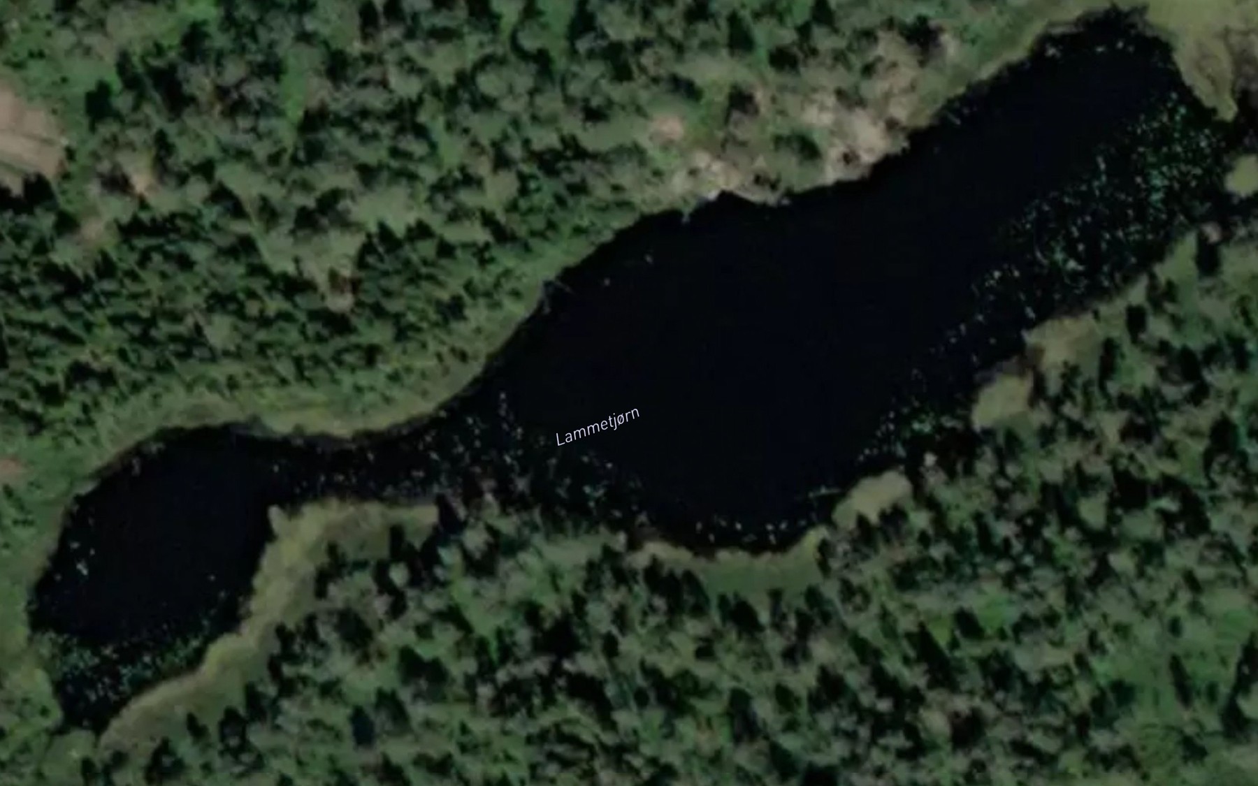 Satellite map of the Lammetjonn