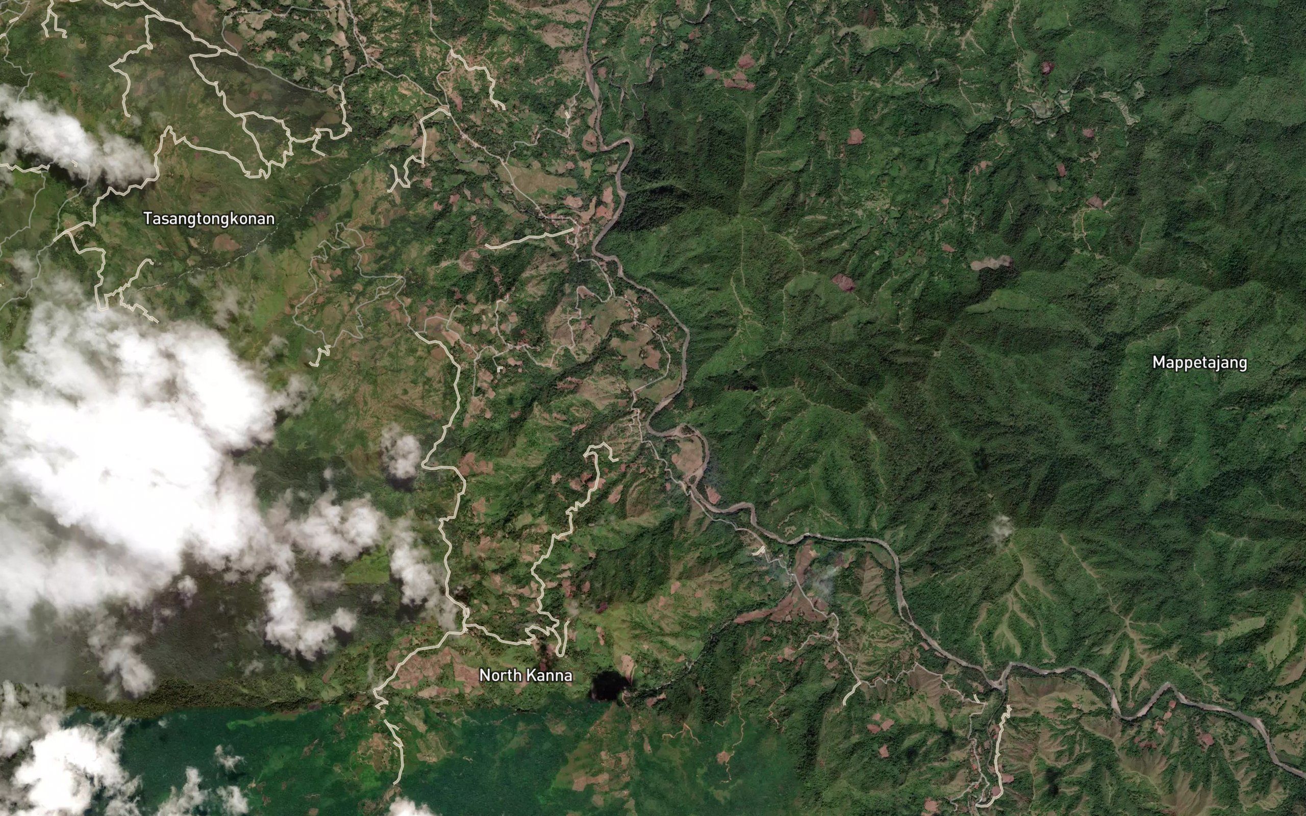 Salu Salau