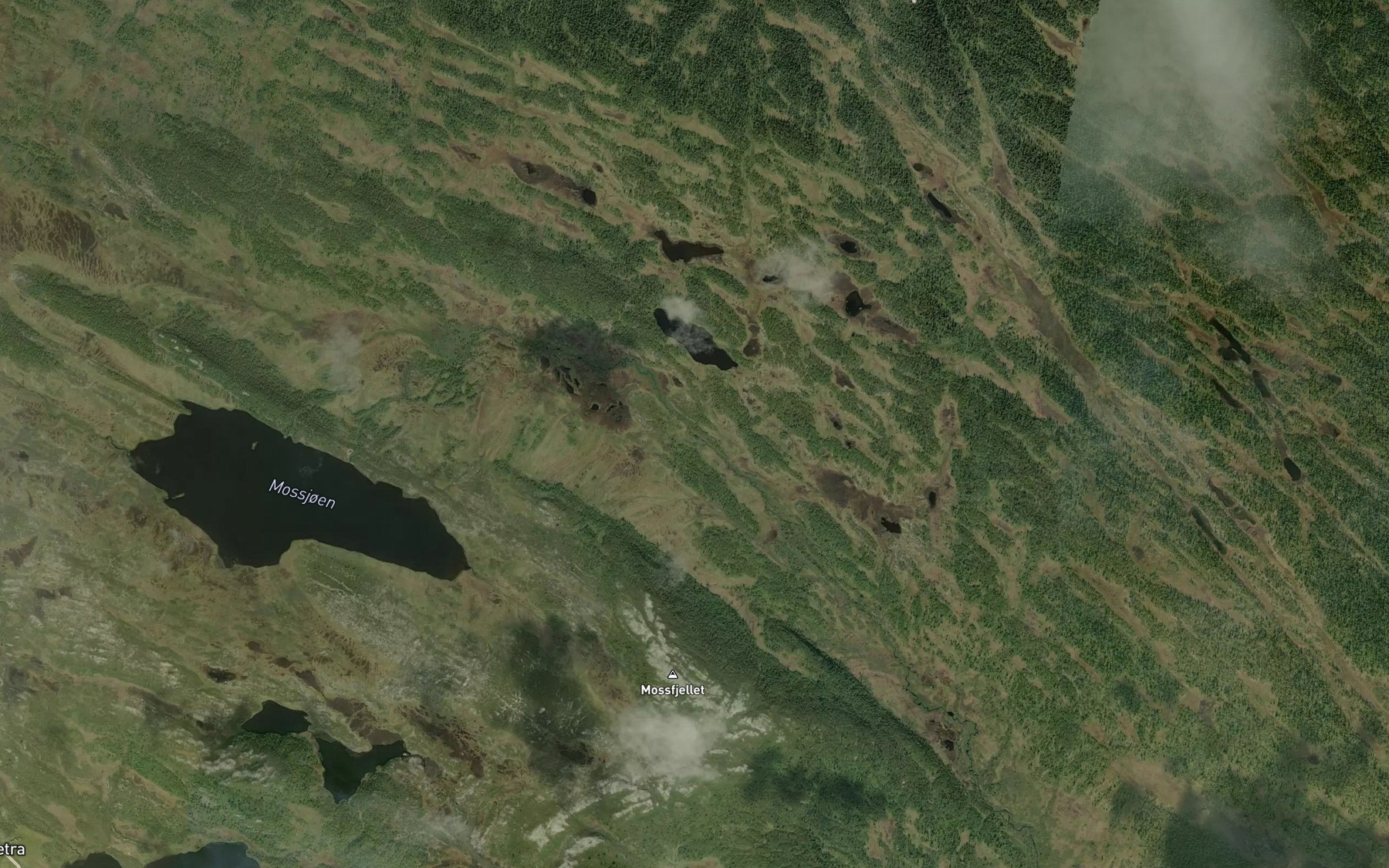 Satellite map of the Mossa