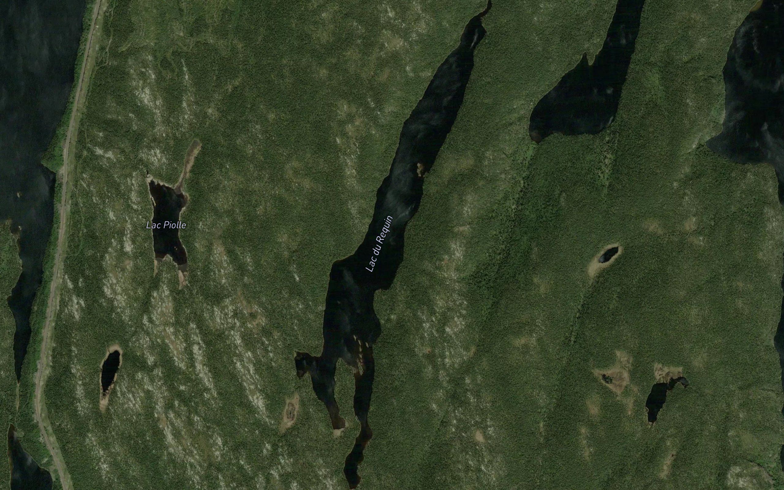 Lac du Requin