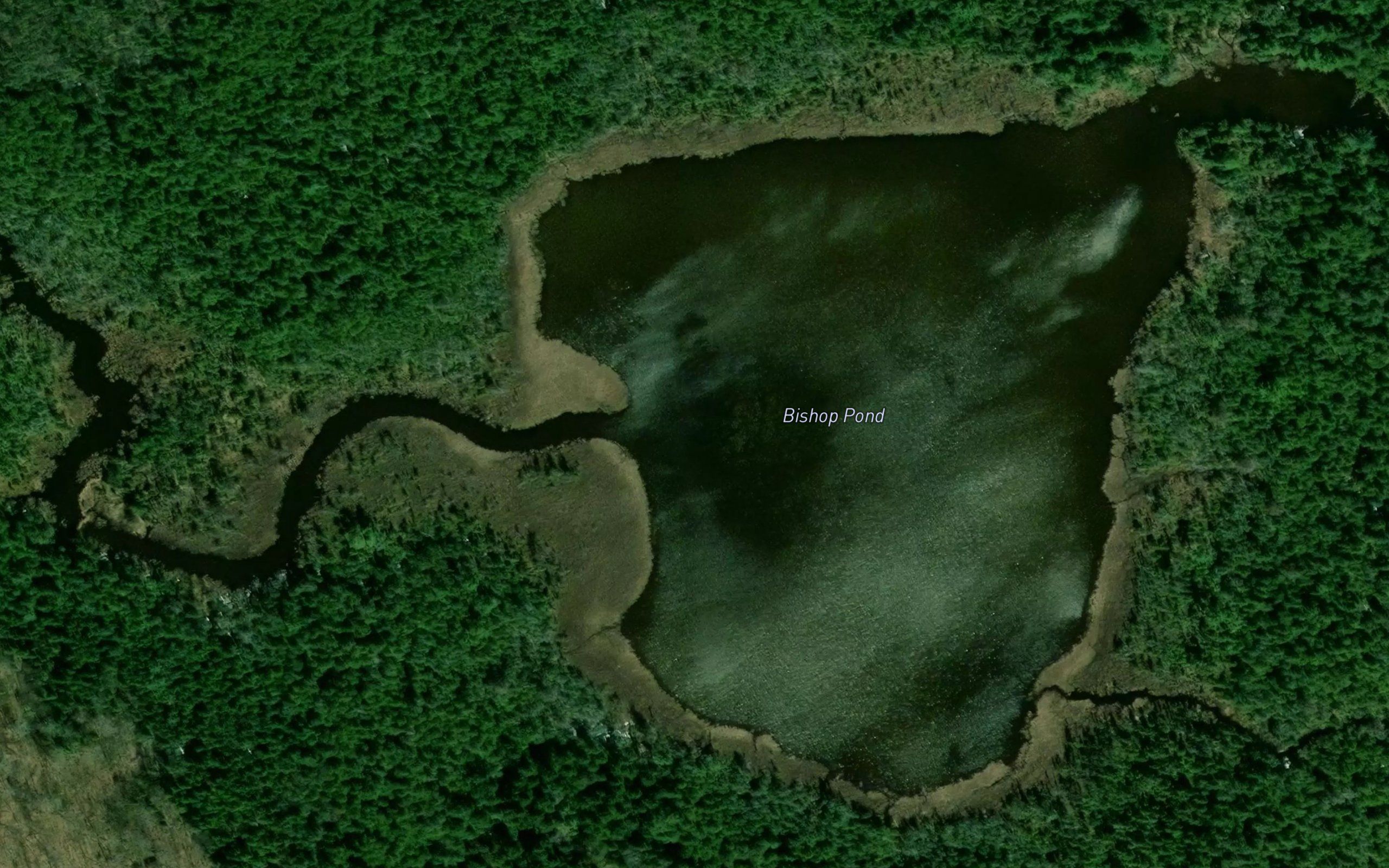 Bishop Pond