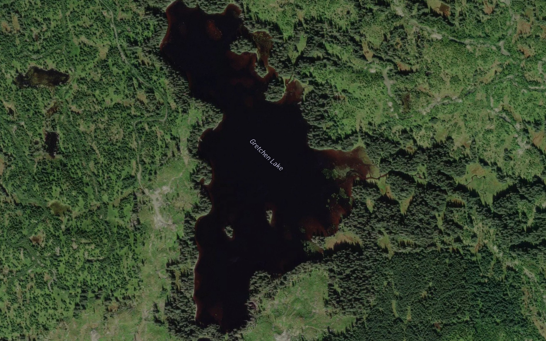 Satellite map of the Gretchen Lake