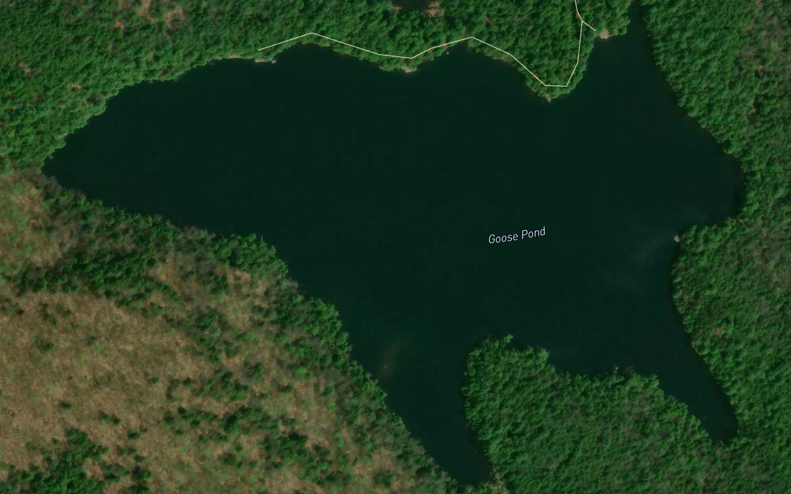 Goose Pond