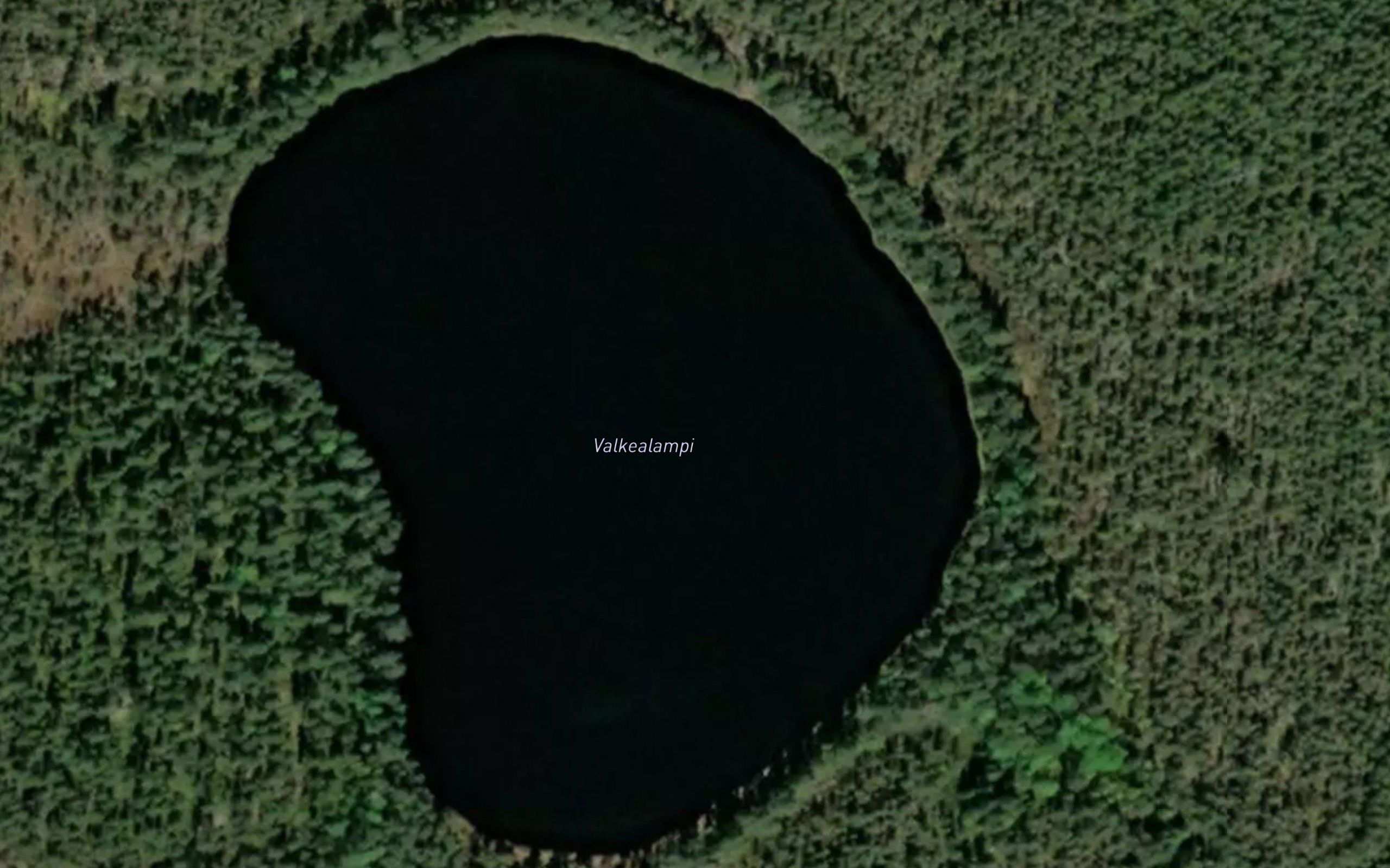 Valkealampi