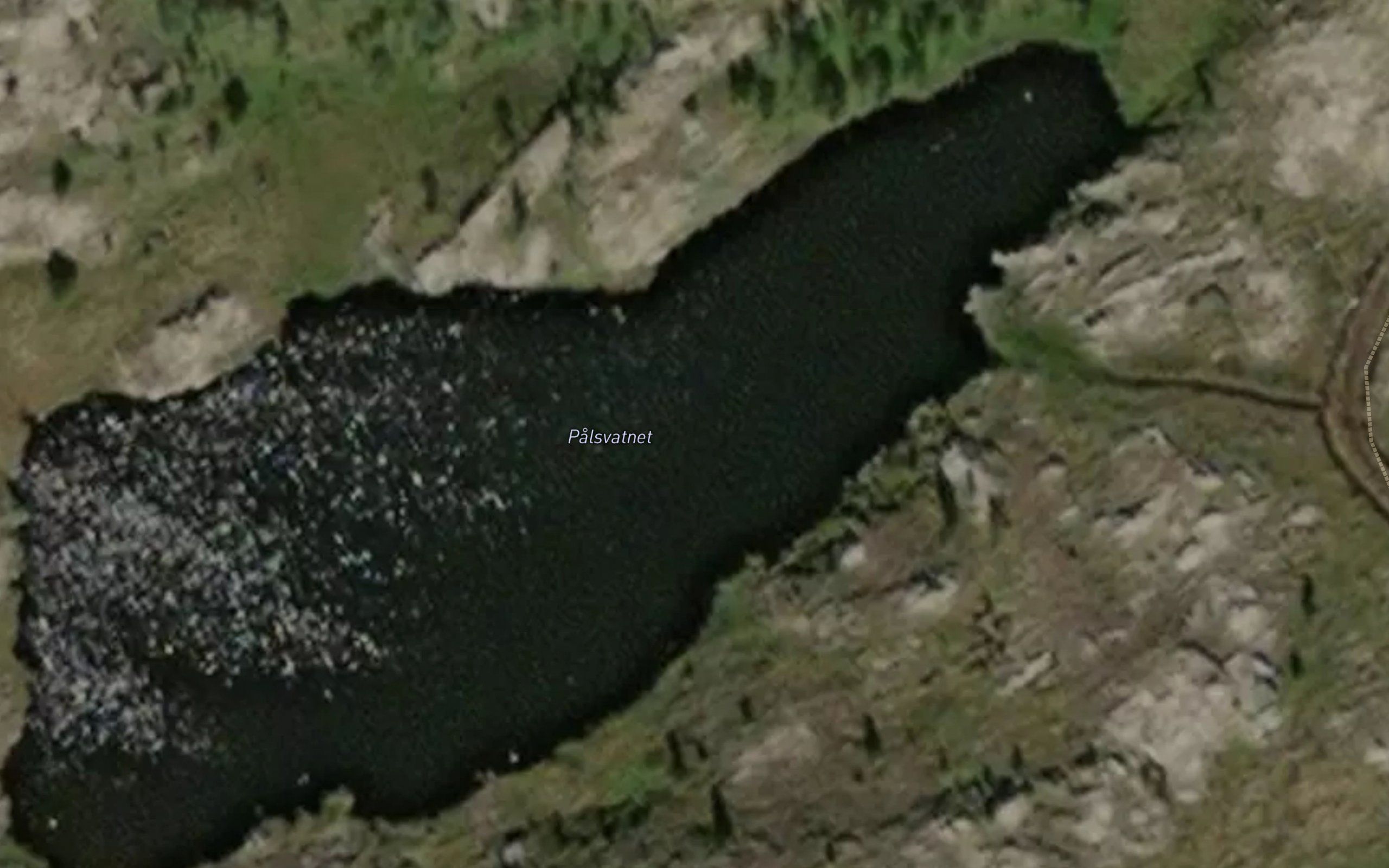 Palsvatnet