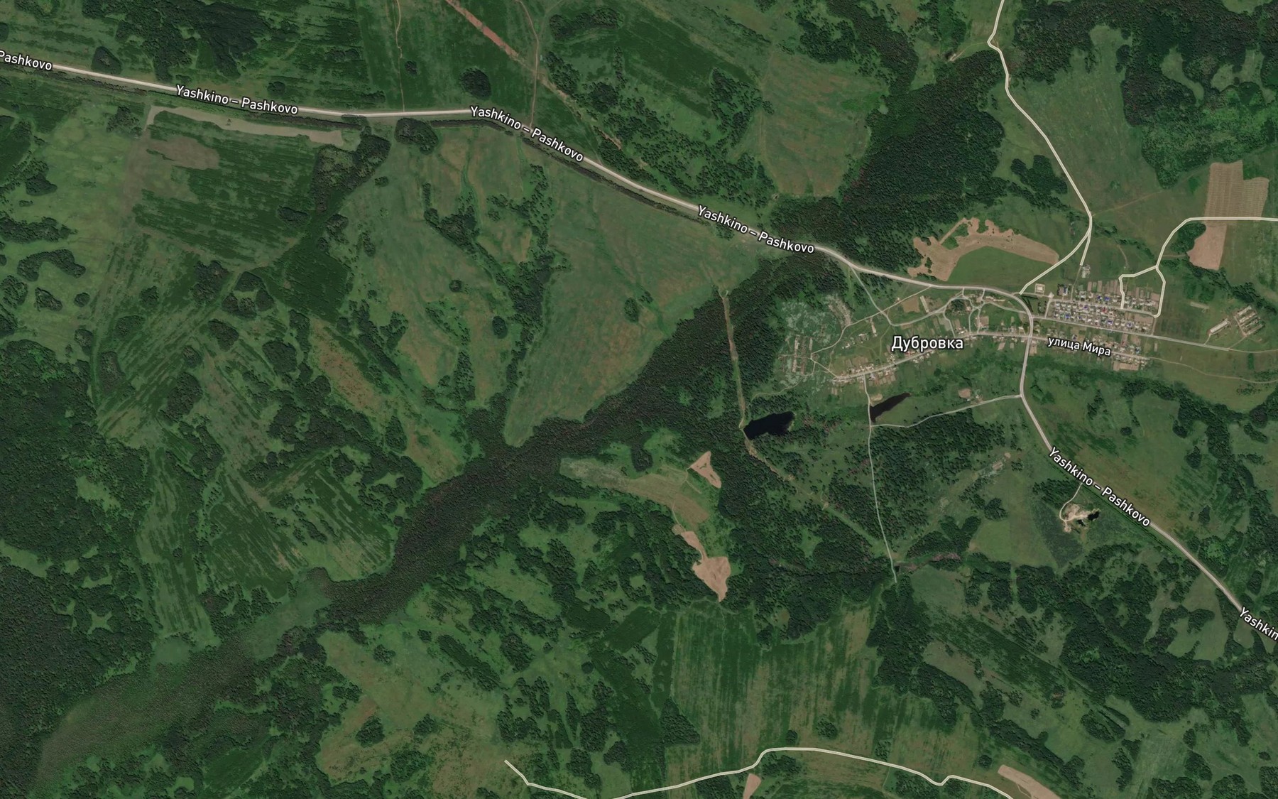 Satellite map of the Lesnaya