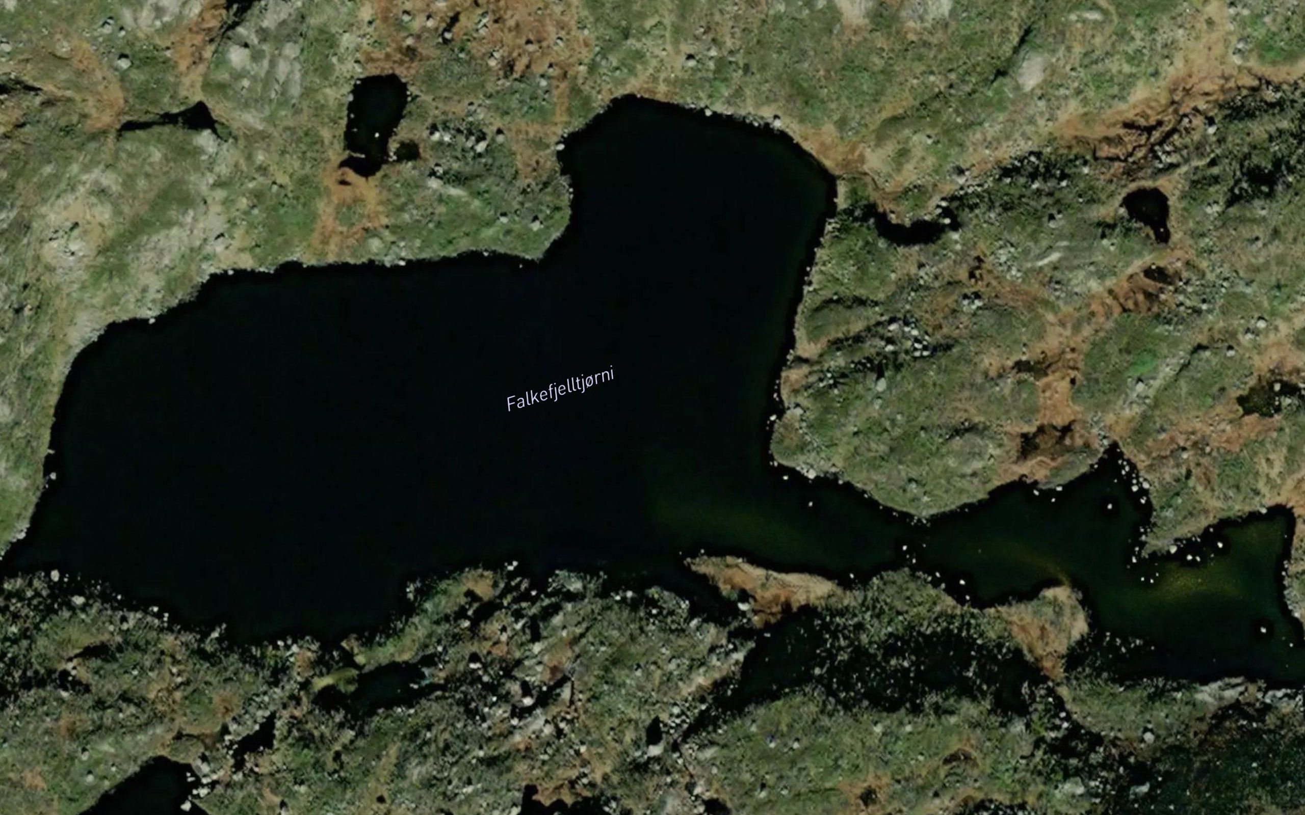 Falkefjelltjorni