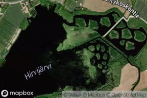Hirvijoki