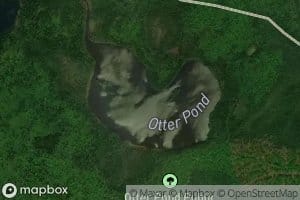 Otter Pond