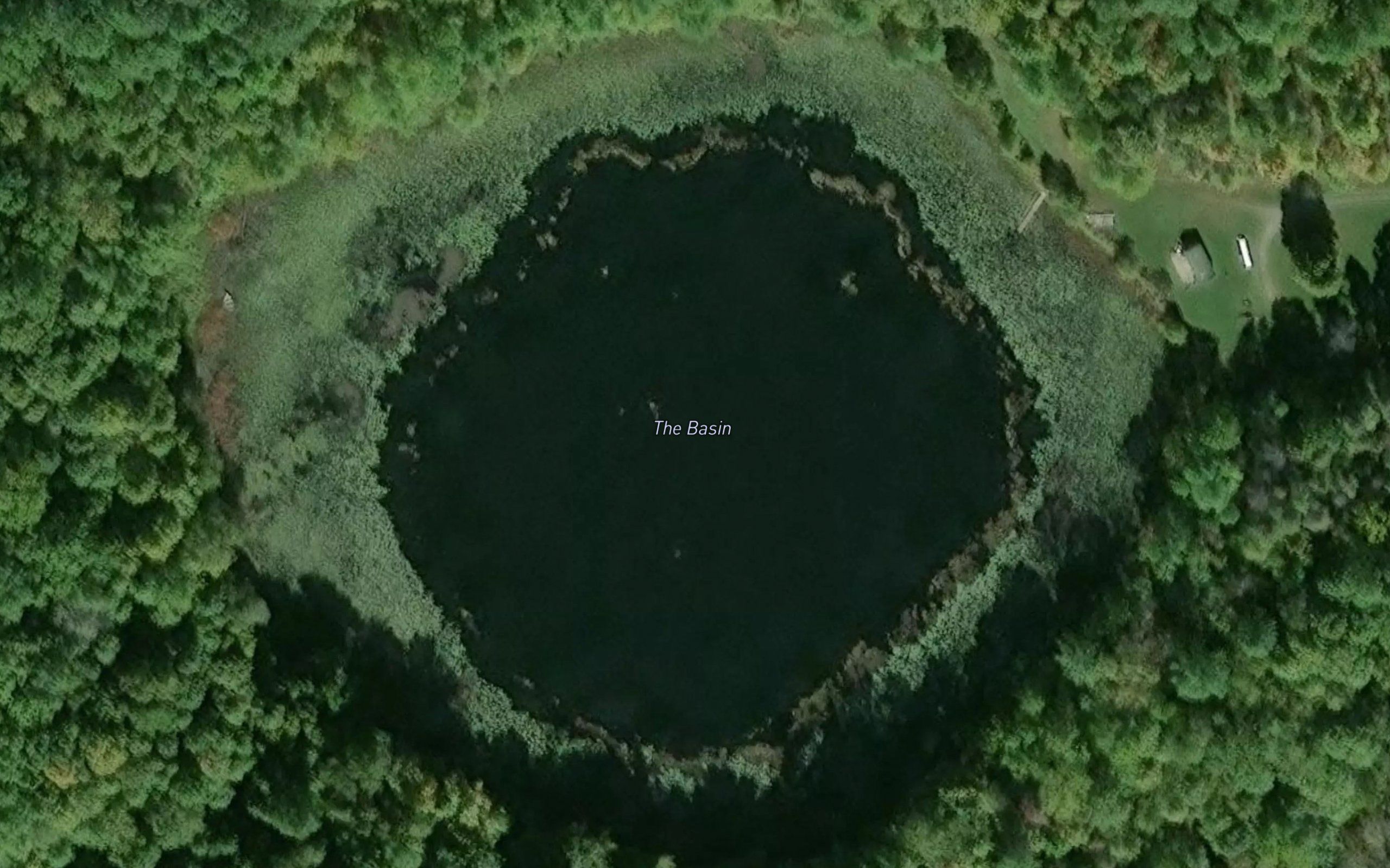 The Basin