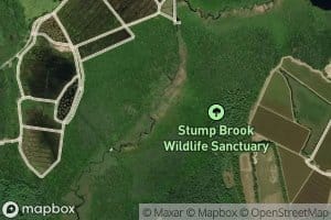 Stump Pond (historical)