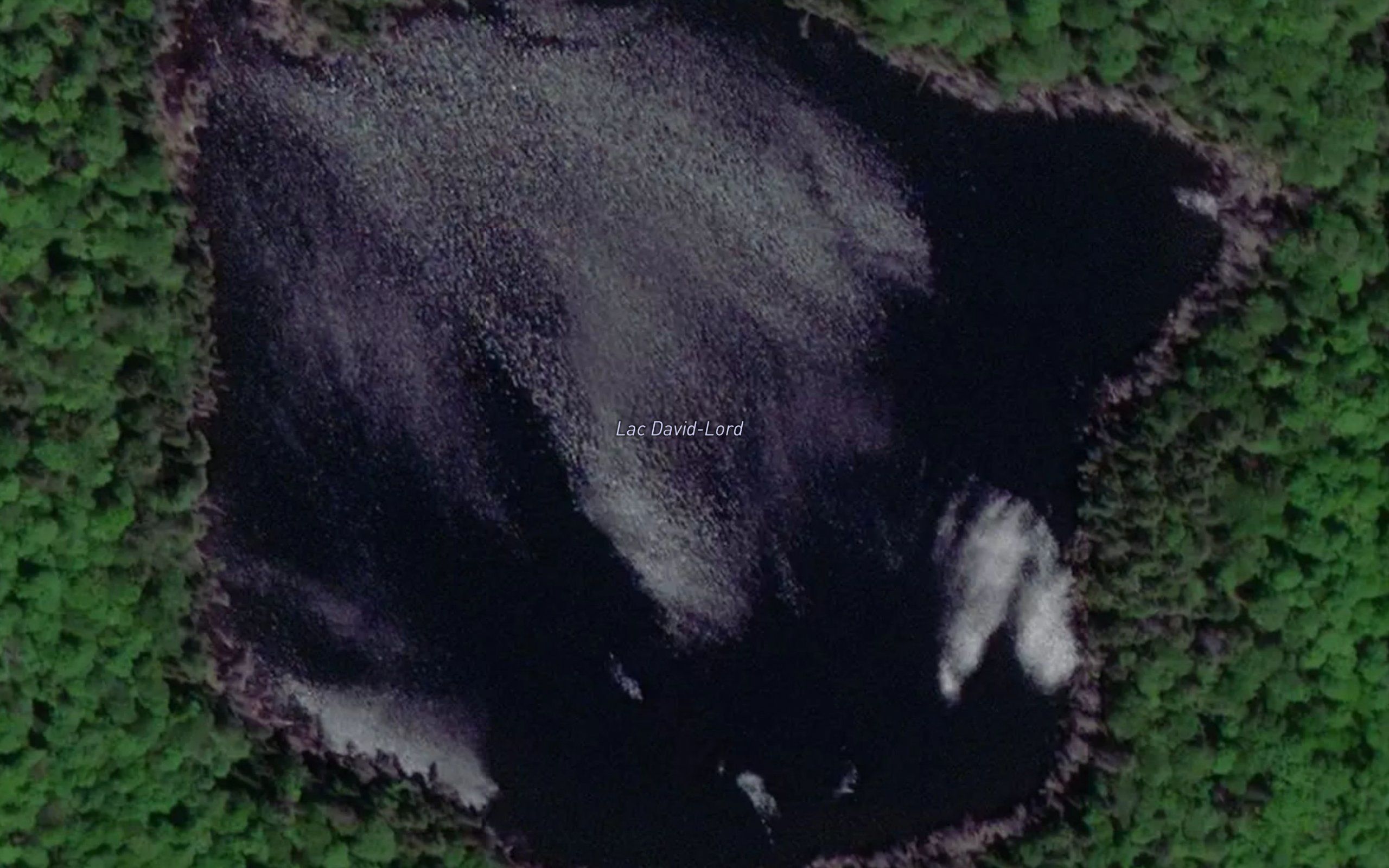 Lac David-Lord
