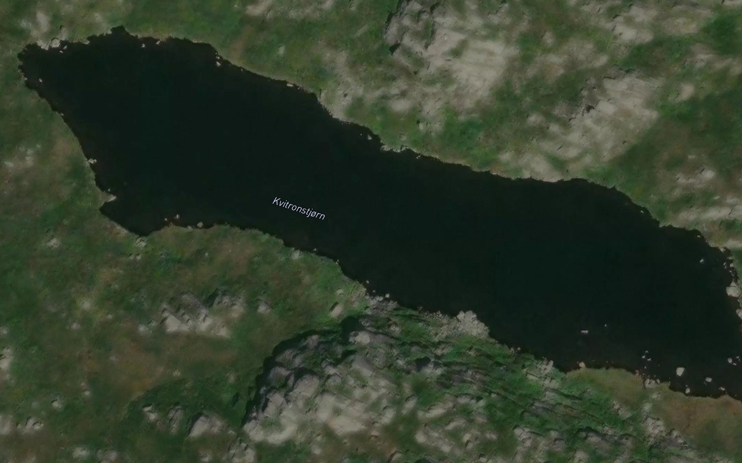 Kvitronstjorn