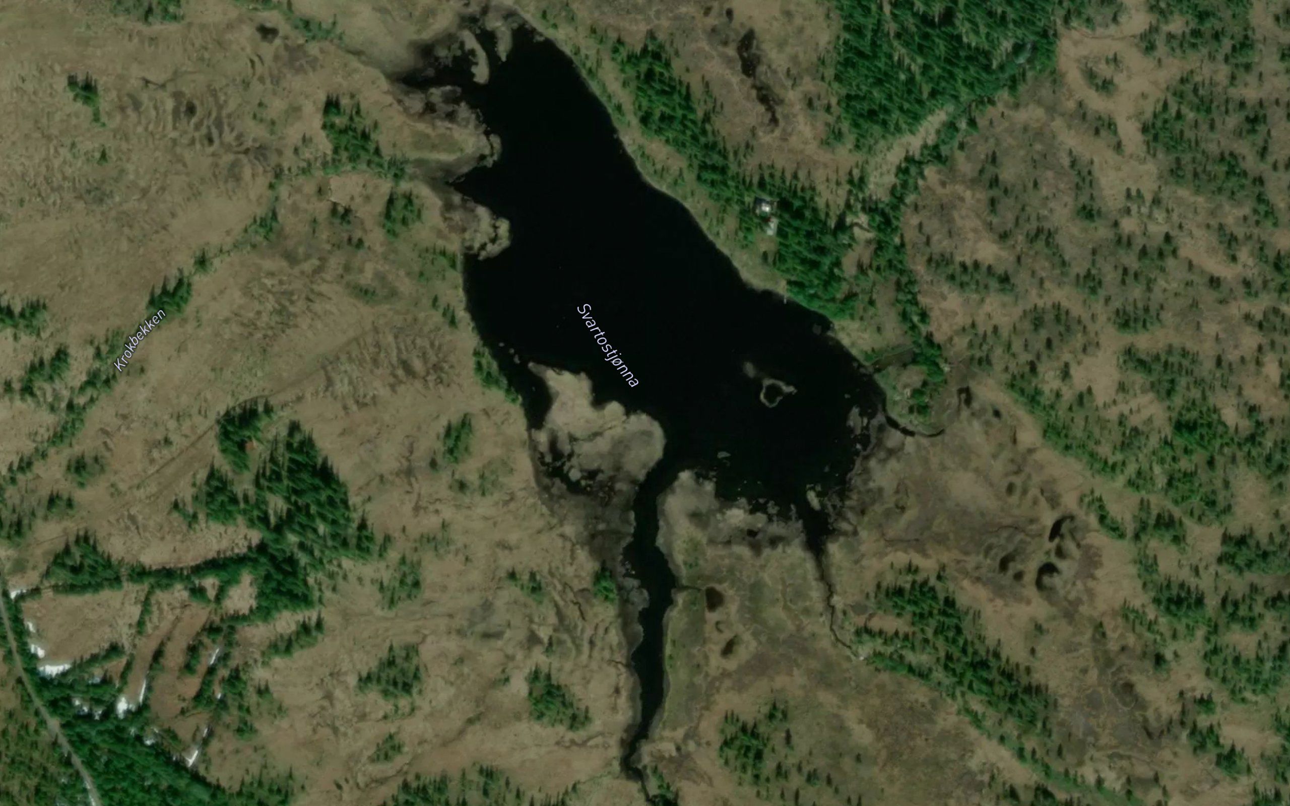 Svartostjorna