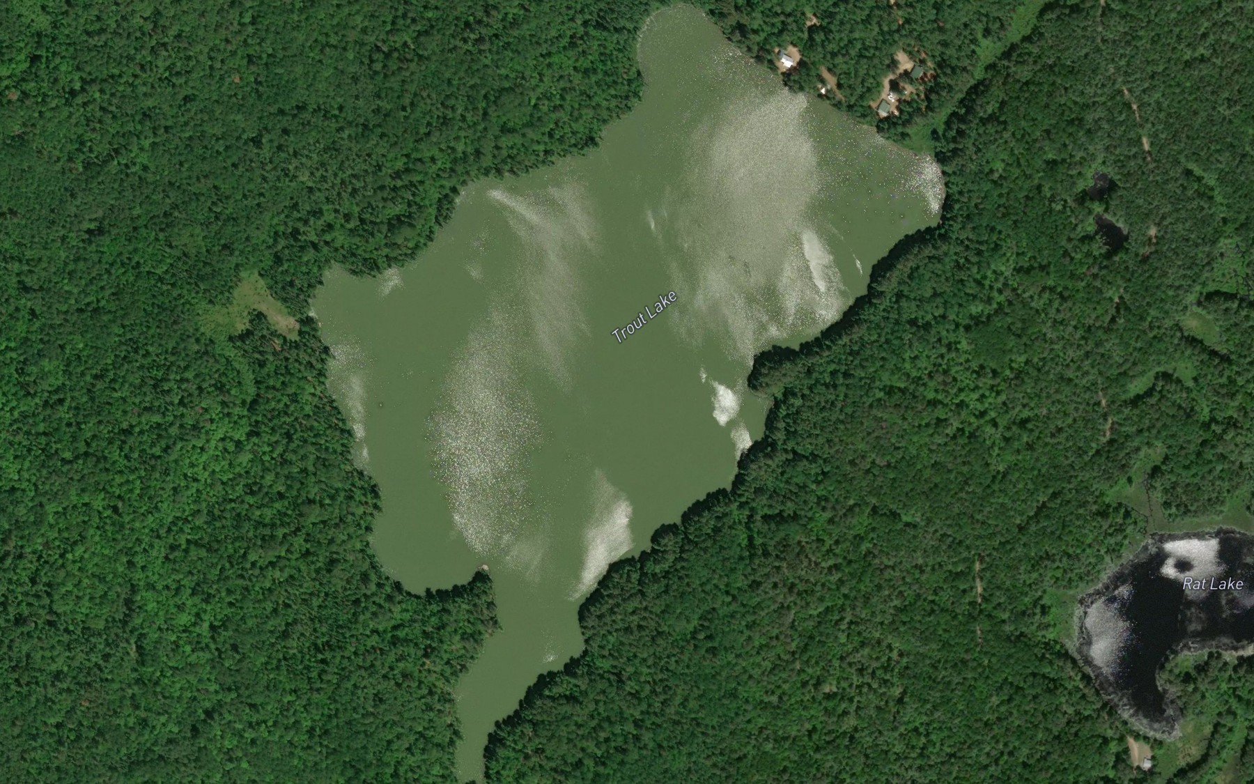 Satellite map of the Trout Lake