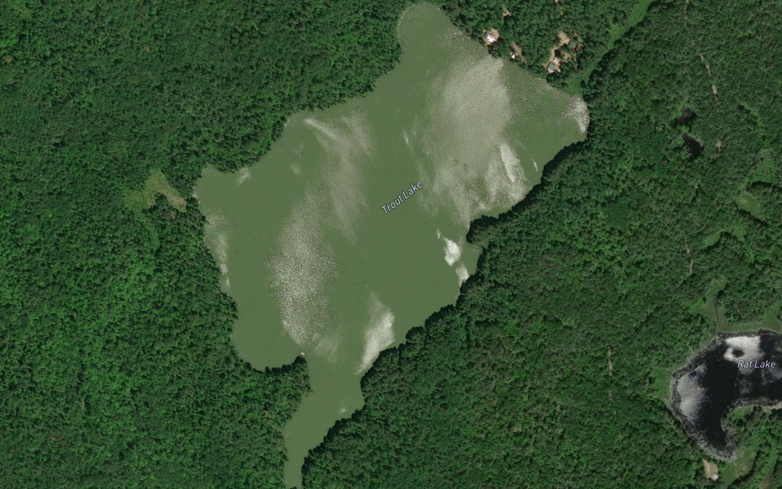 Trout Lake