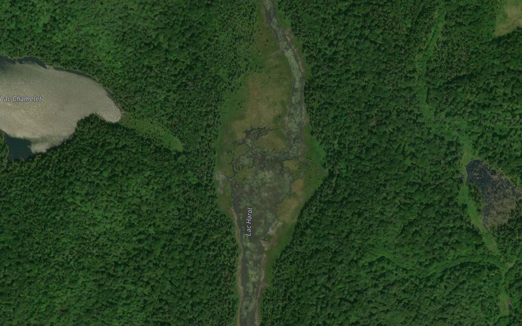 Satellite map of the Lac Harol
