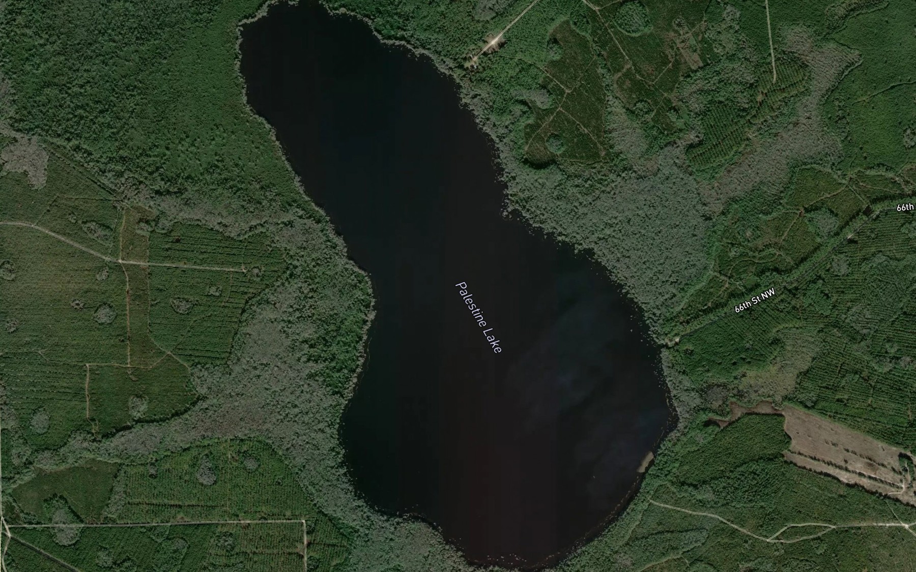 Satellite map of the Palestine Lake