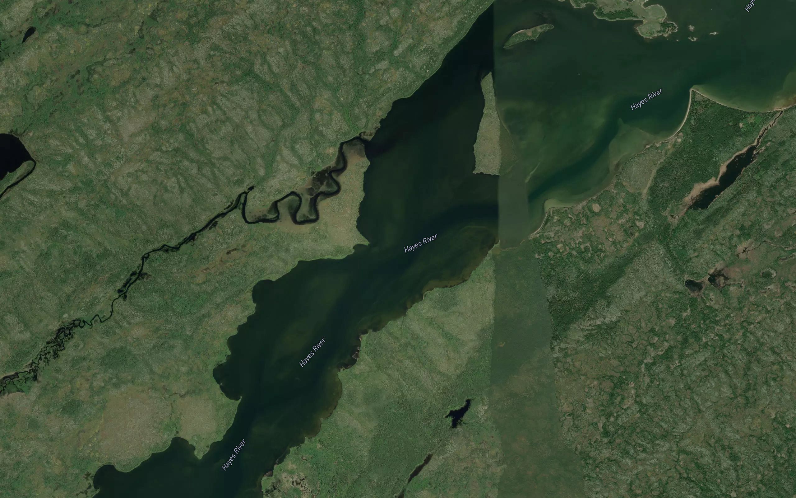 Swampy Lake