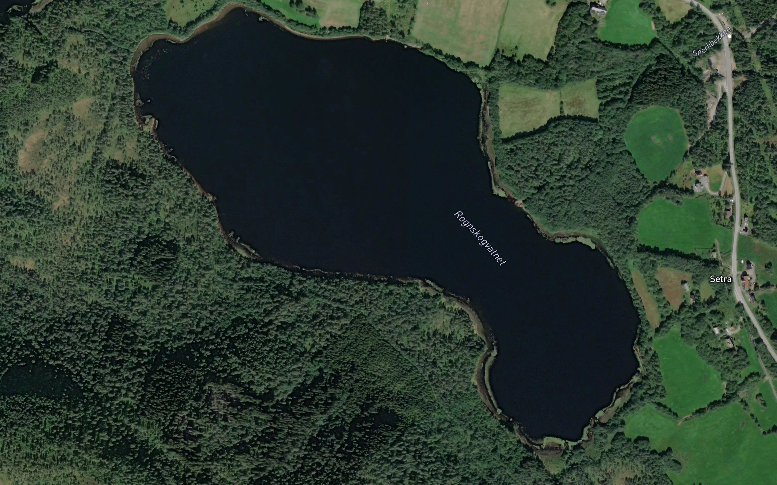 Rognskogvatnet