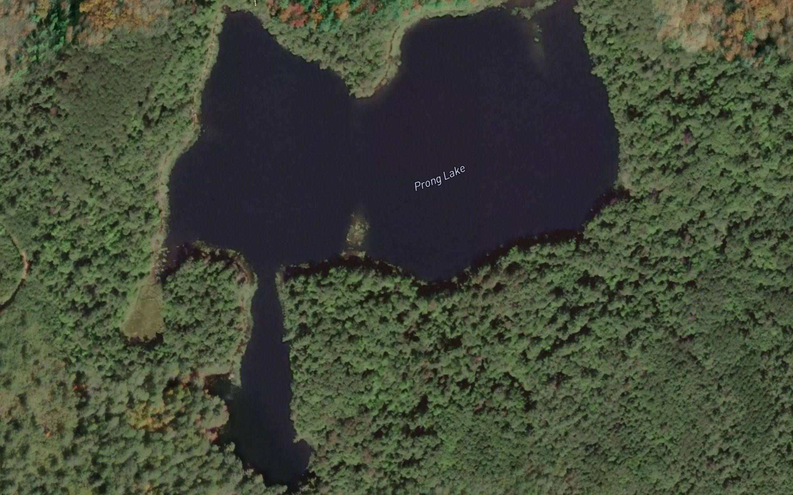 Prong Lake