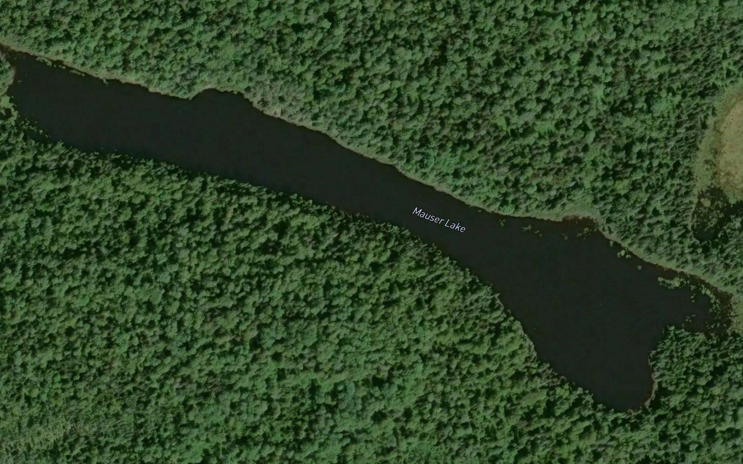 Mauser Lake