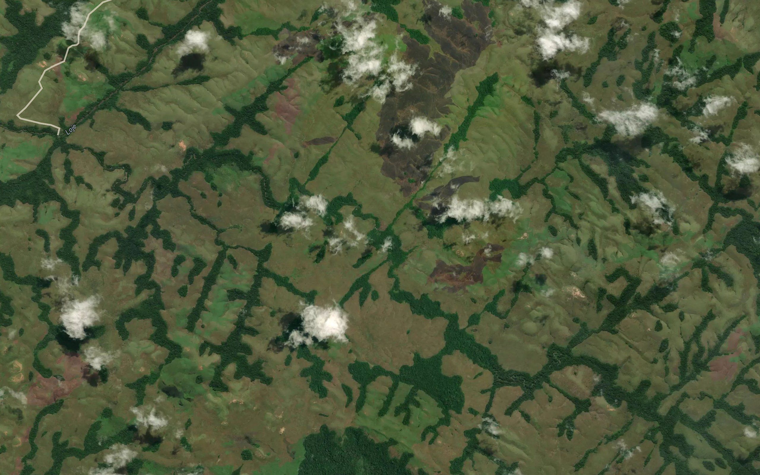 Matanda