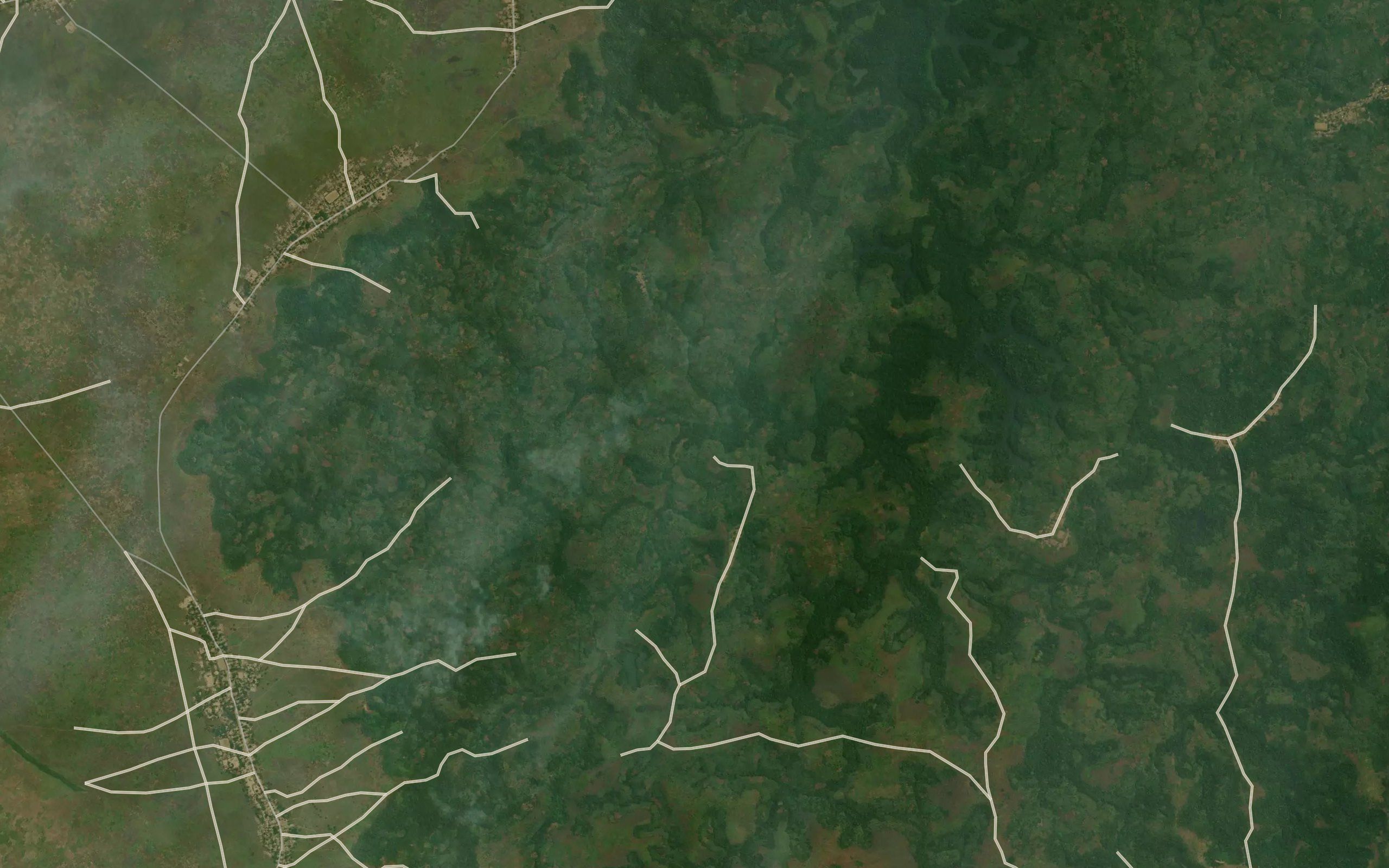 Mapungu