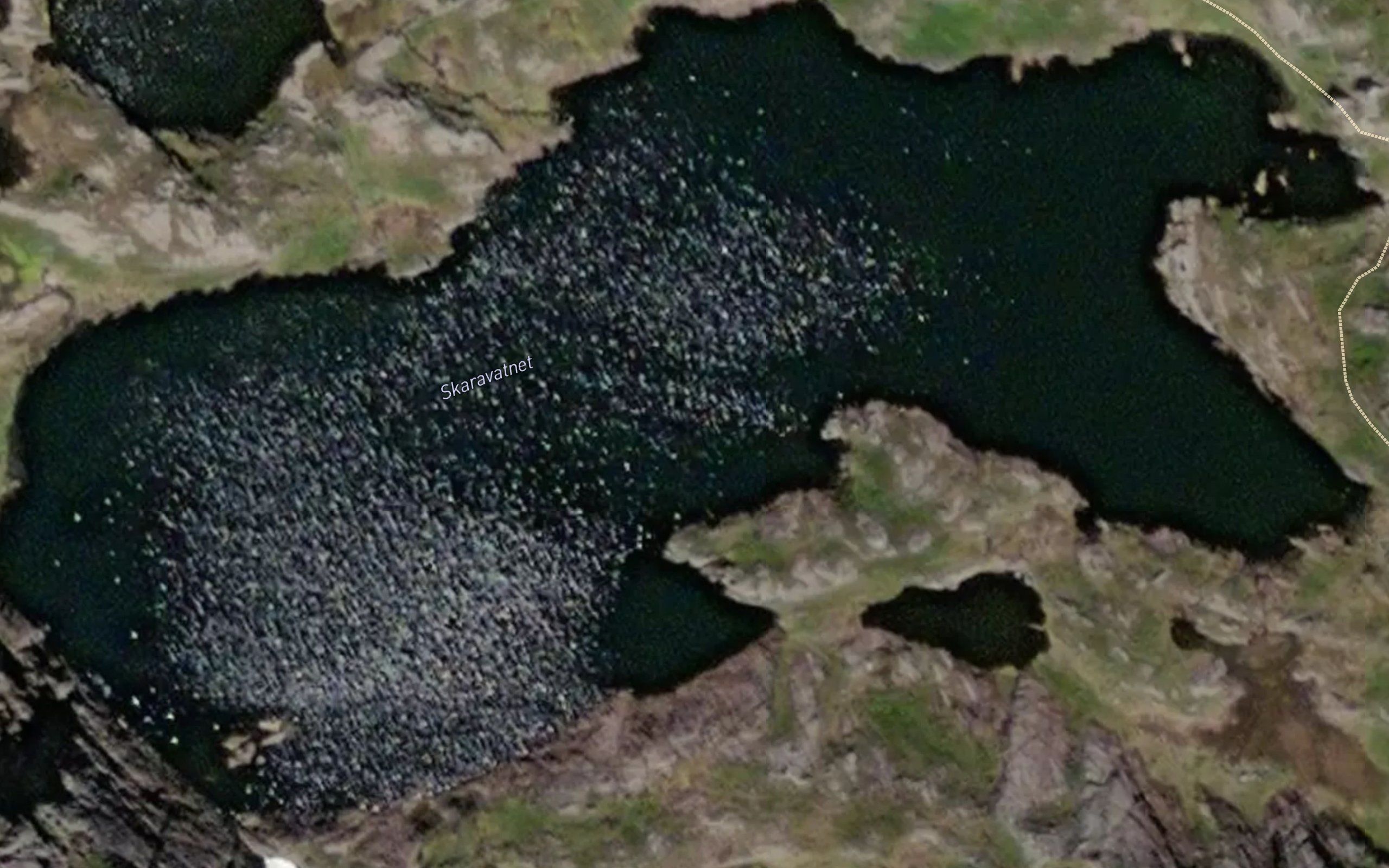 Skardavatnet