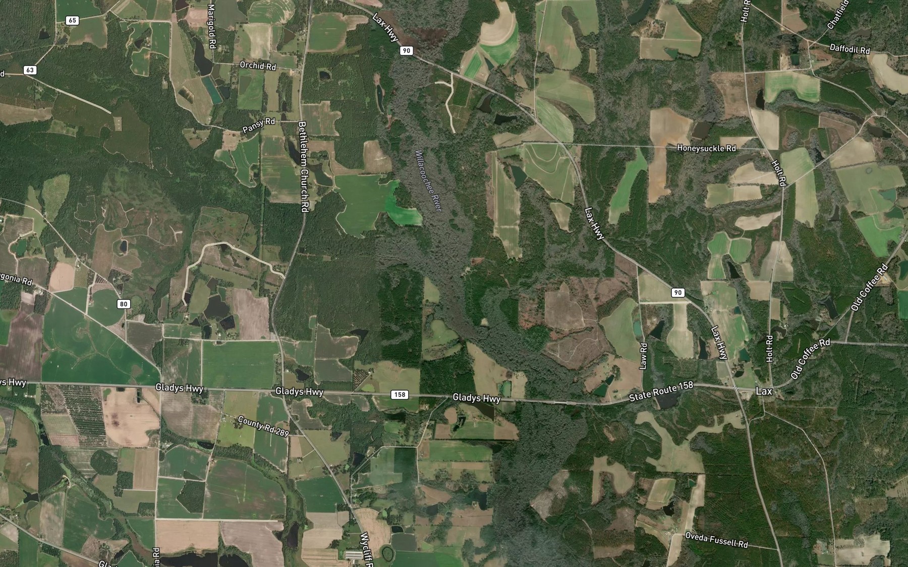 Satellite map of the Reedy Creek