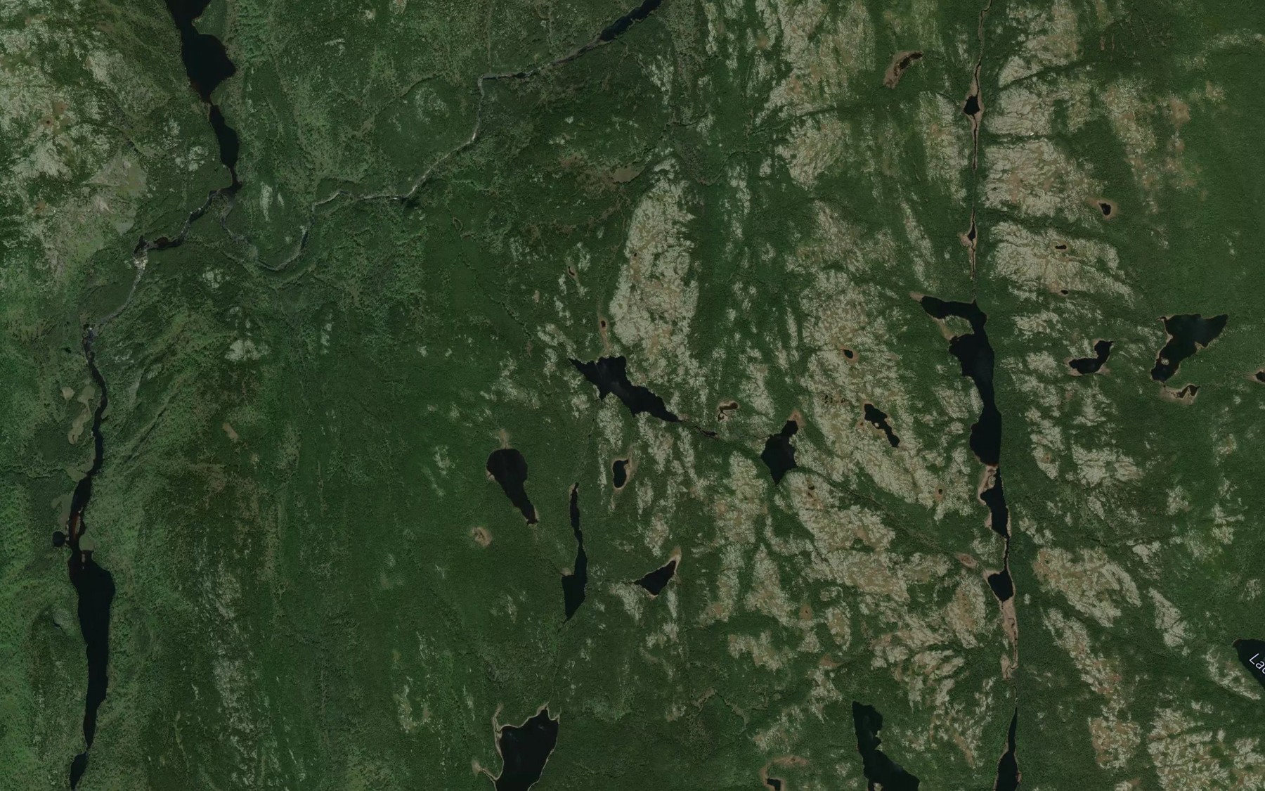 Satellite map of the Lac Gilliet