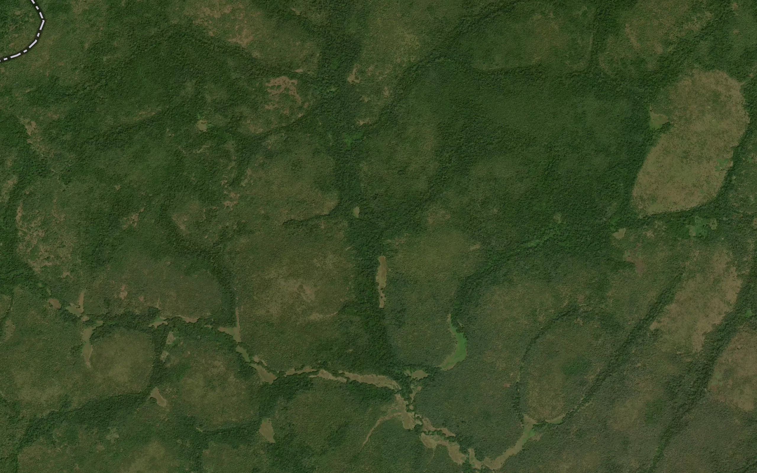Navoga