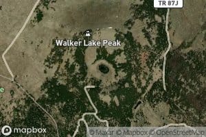 Walker Lake