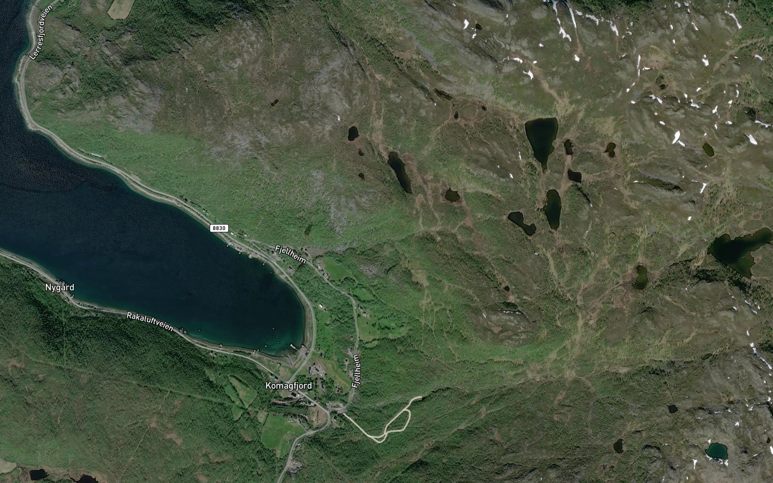 Synovselva