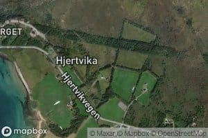 Hjertvikelva