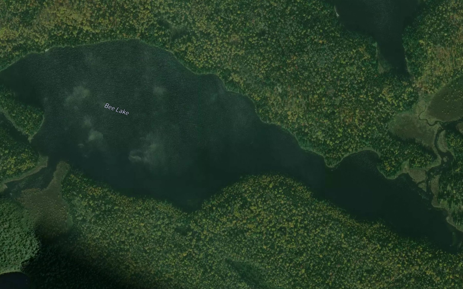 Satellite map of the Bee Lake