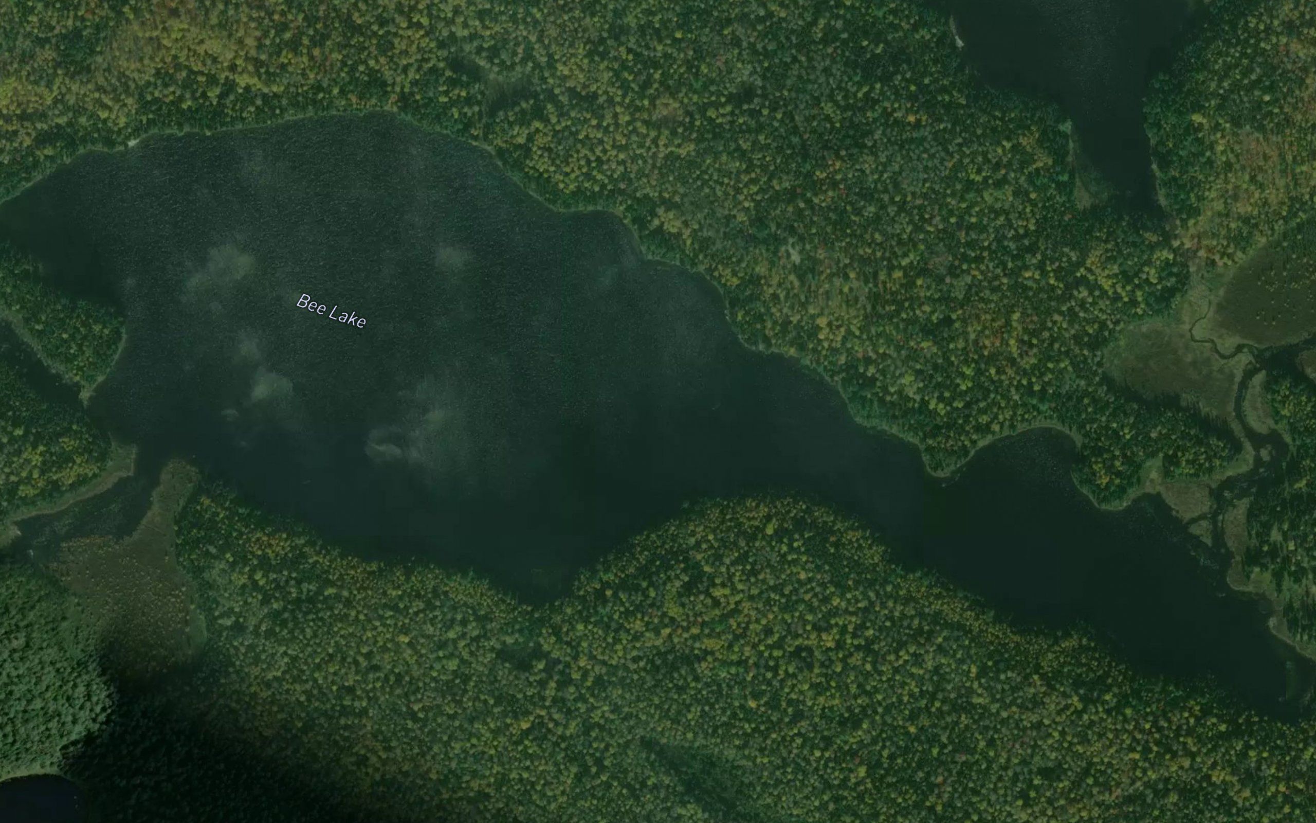 Bee Lake