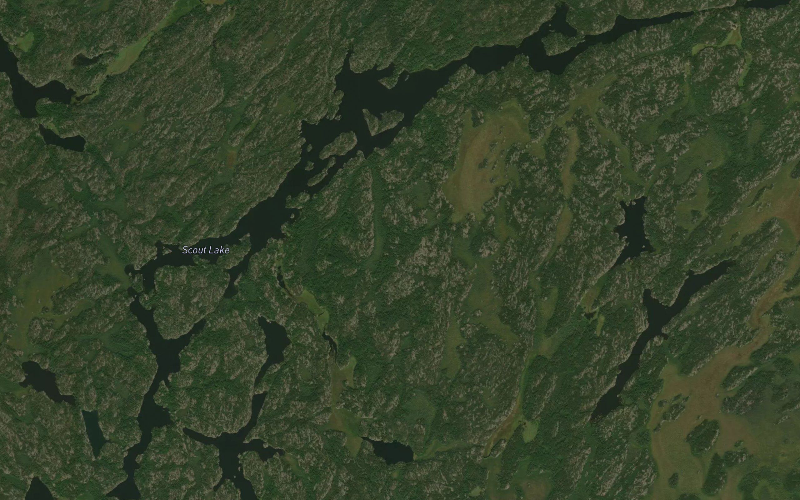 Scout Lake