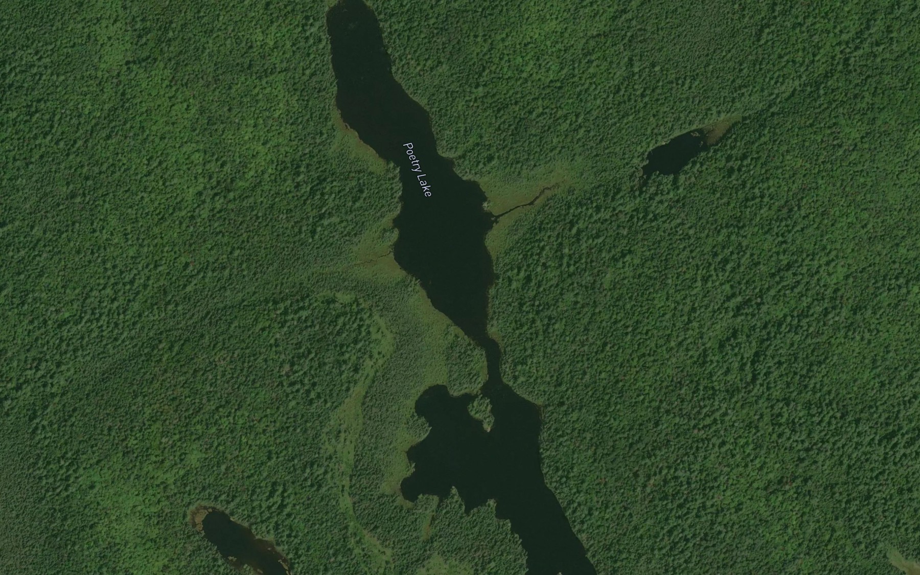 Satellite map of the Poetry Lake