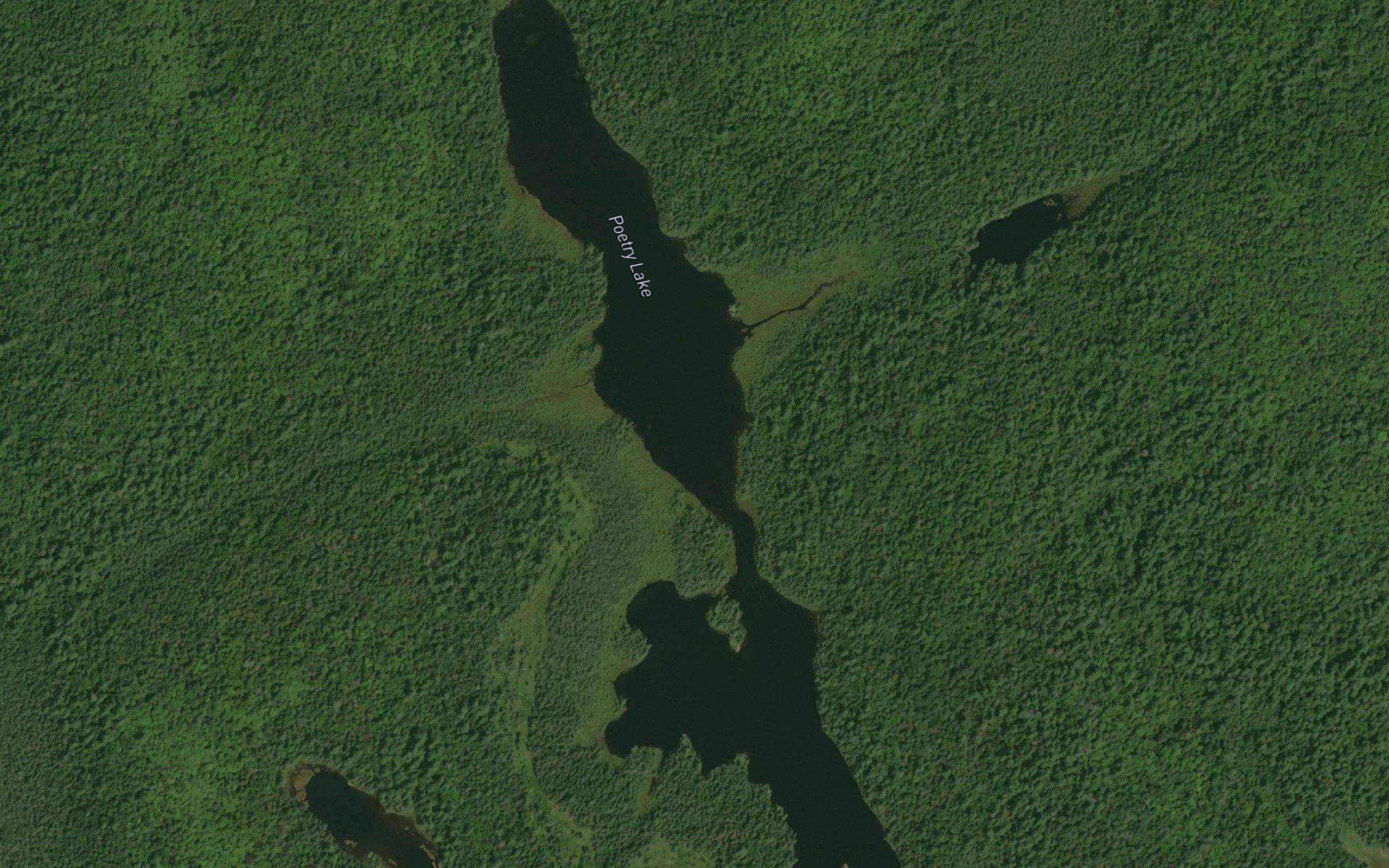 Poetry Lake