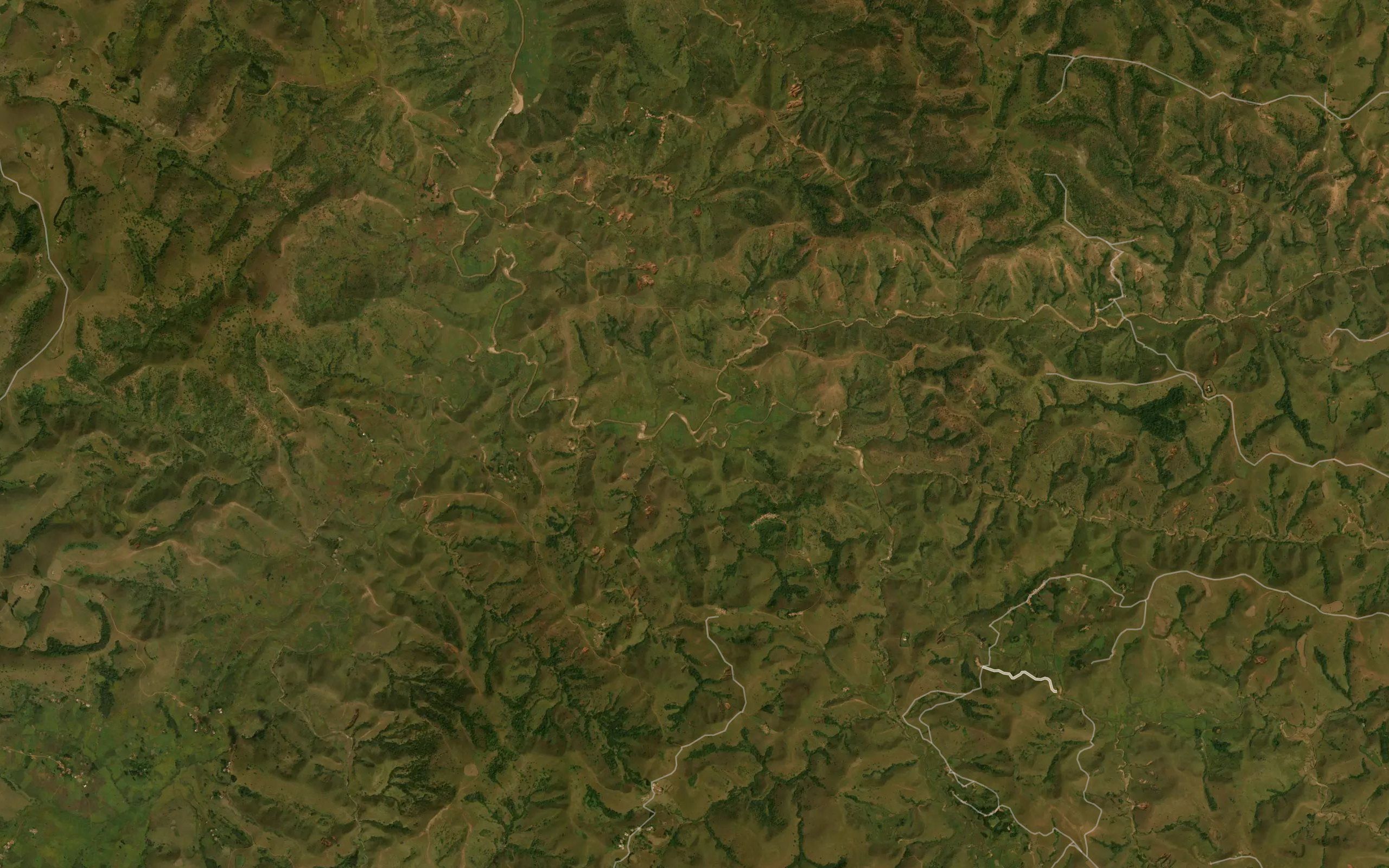 Muduwa
