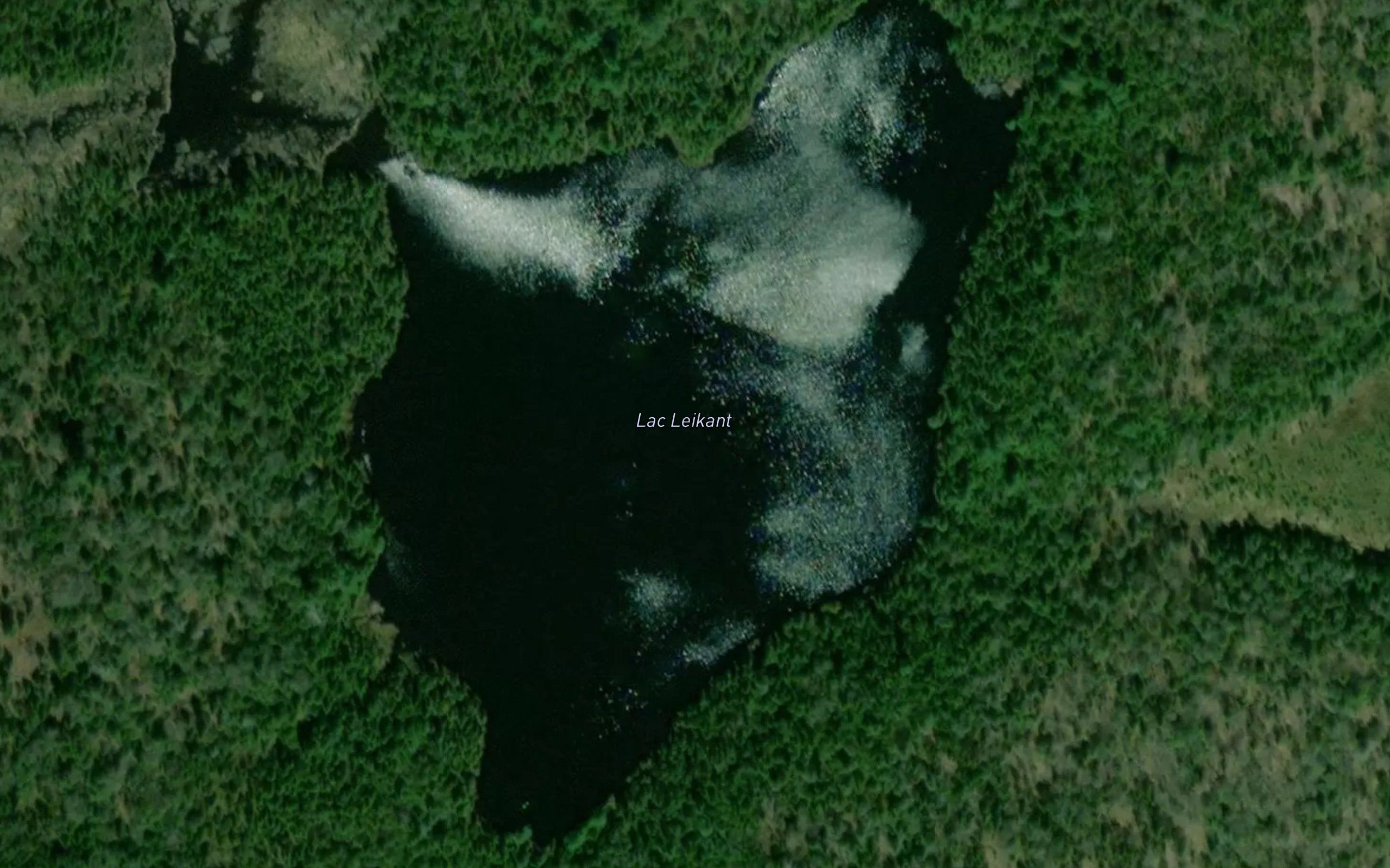 Lac Leikant