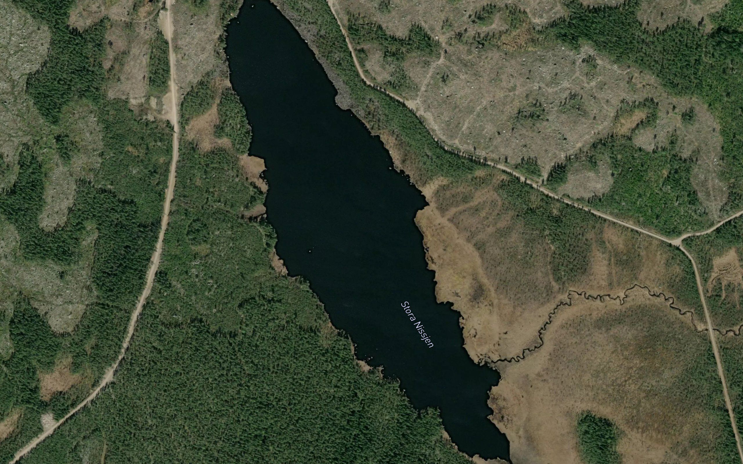 Stora Nischen