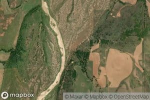 Spotted Deer Creek