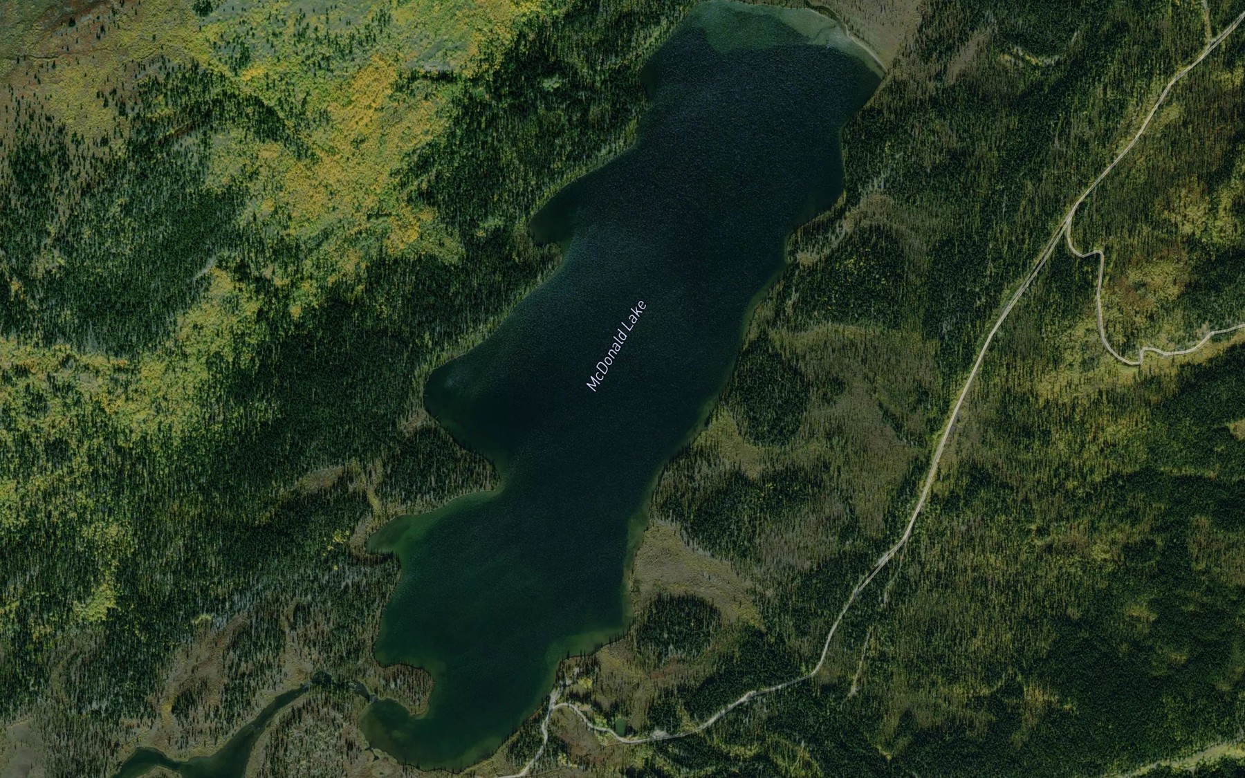Satellite map of the McDonald Lake