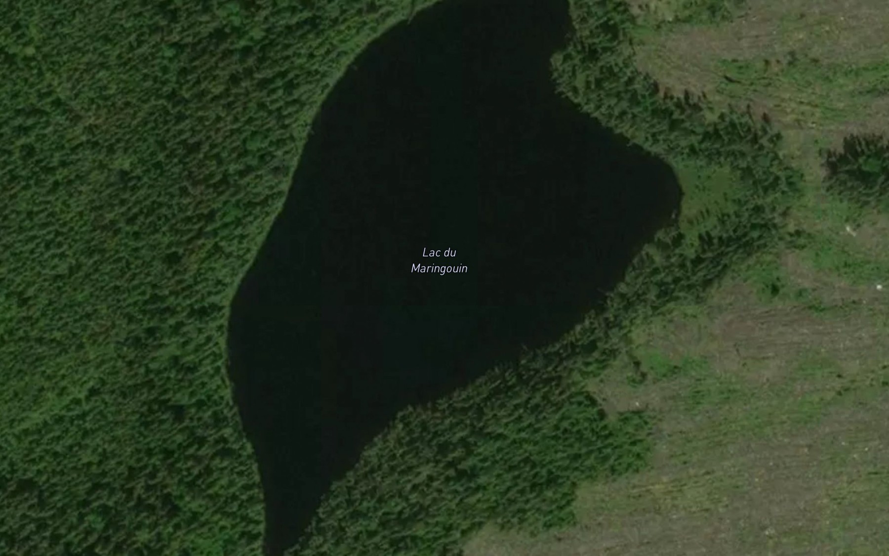 Satellite map of the Lac du Maringouin
