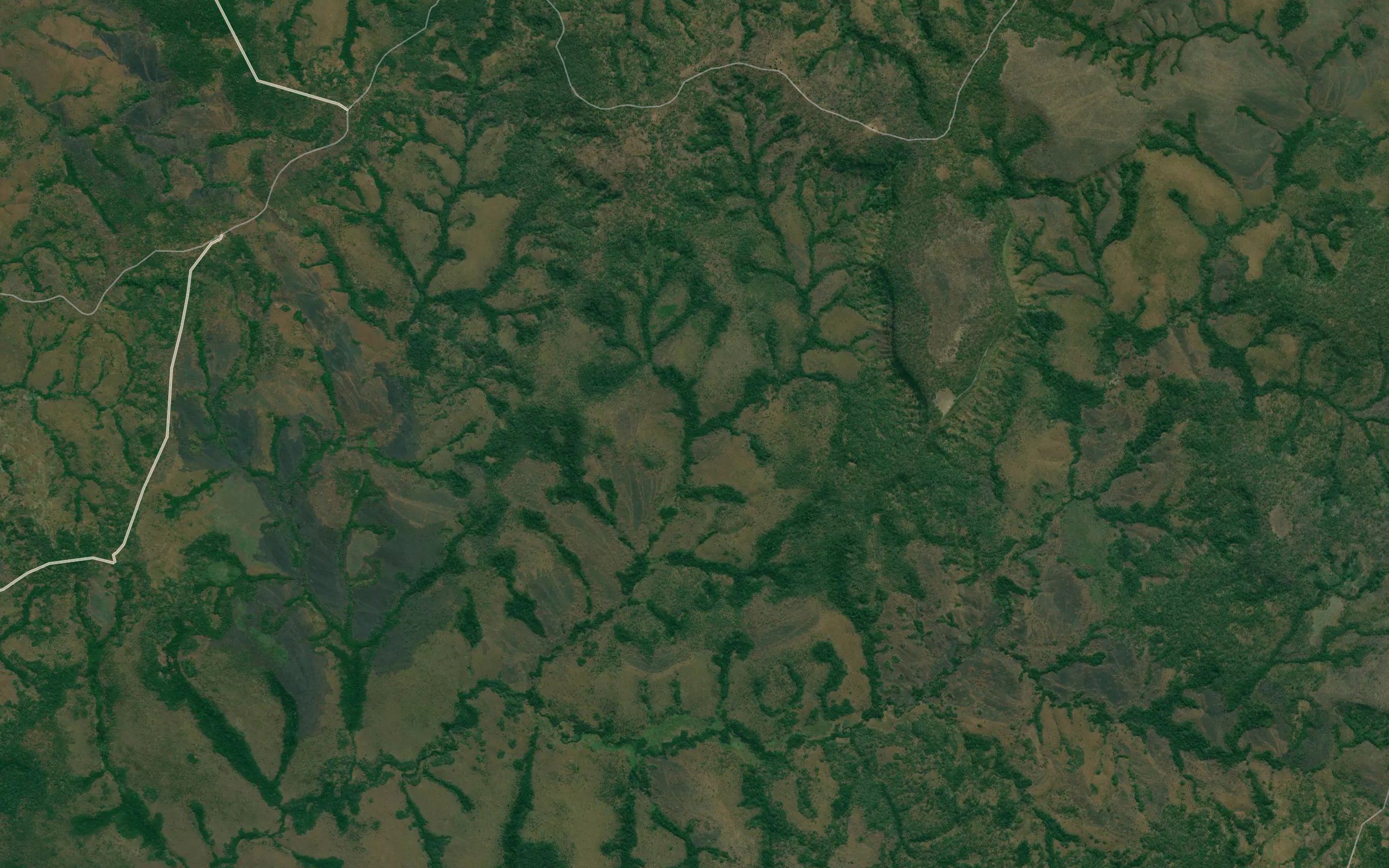 Chagumba
